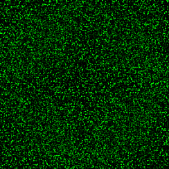 Блестки Green 0.1 mm, 0,1 кг