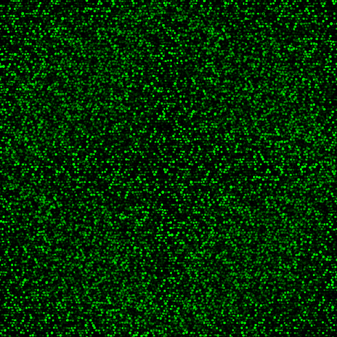 Блестки Green 0.1 mm, 1 кг